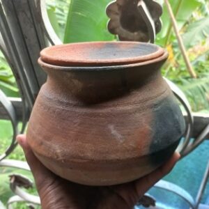 Premium Quality Handmade Clay Pot (Handi with Lid)